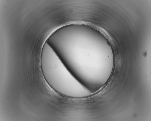 X0000091181244200708091039