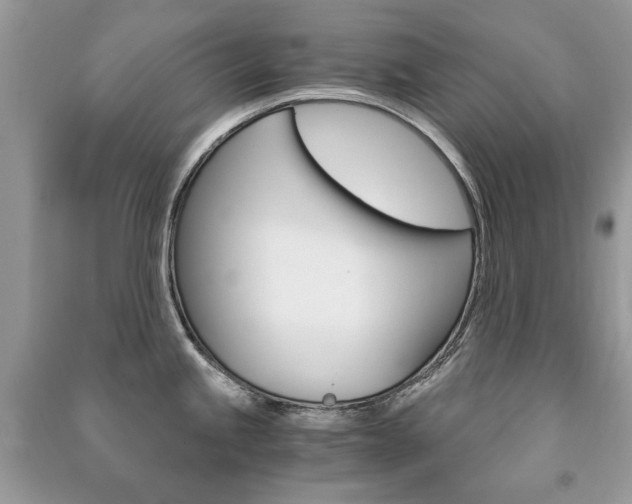 X0000091181245200708091039