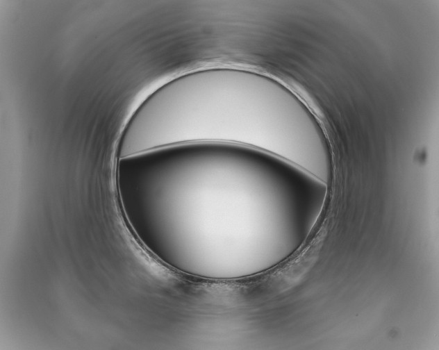 X0000091181246200708091039