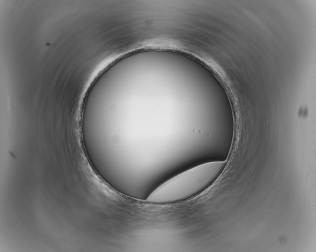 X0000091181248200708091039
