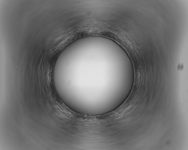 X0000091181250200708091039