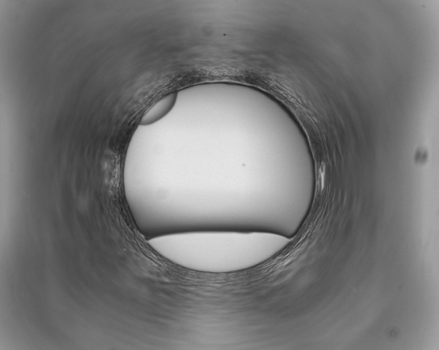 X0000091181251200708091039