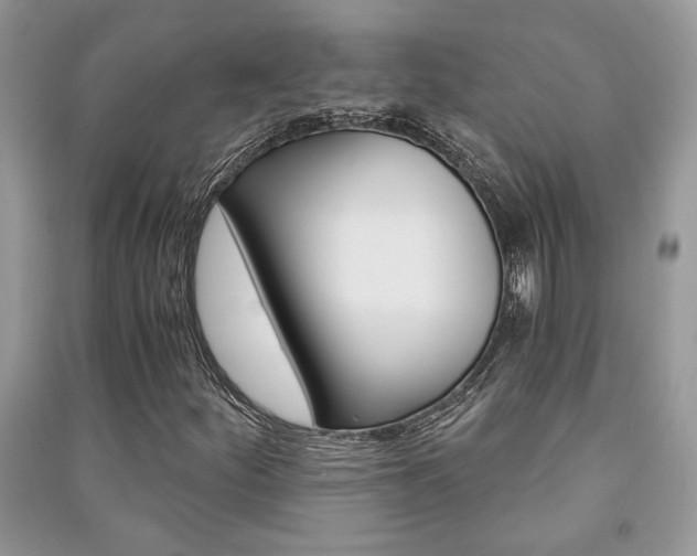 X0000091181252200708091039