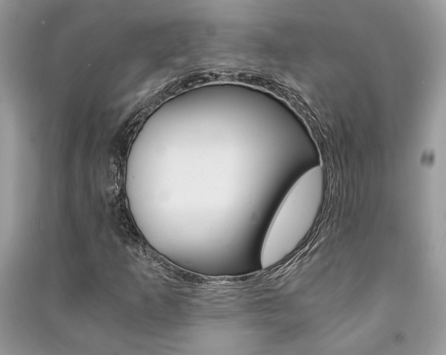 X0000091181253200708091039