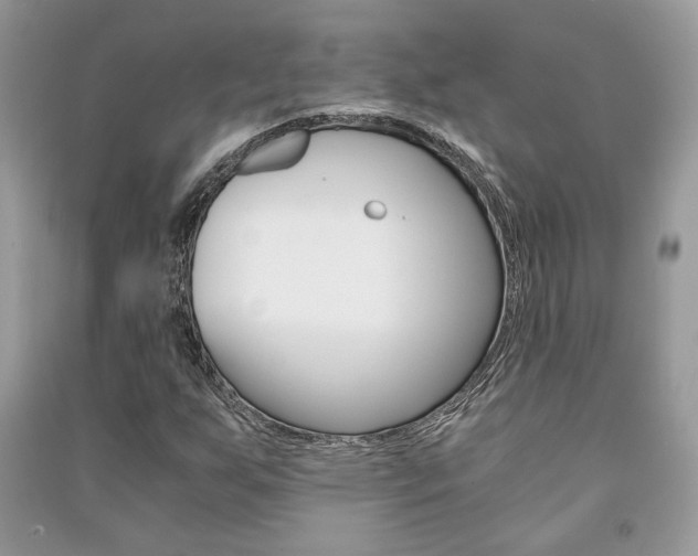 X0000091181255200708091039