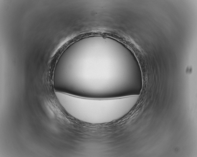 X0000091181256200708091039