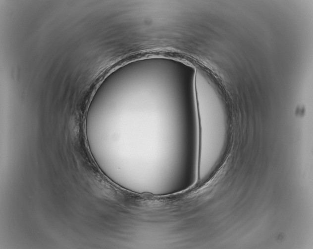 X0000091181257200708091039