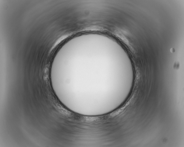 X0000091181258200708091039