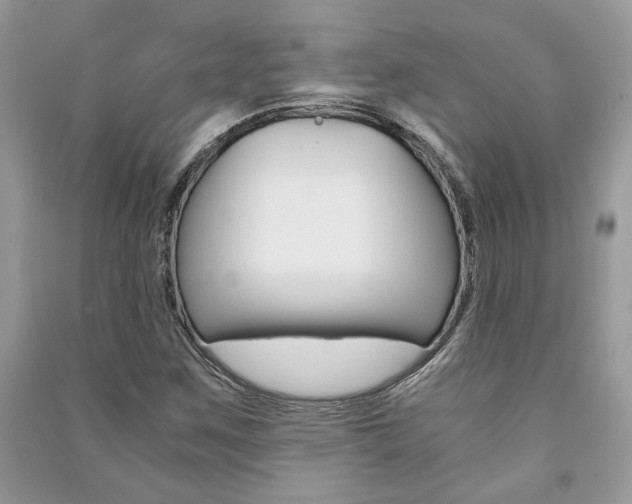 X0000091181259200708091039