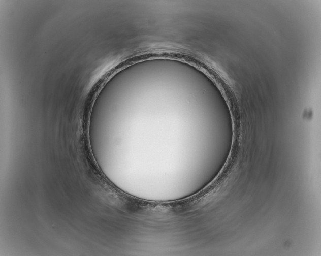 X0000091181261200708091039
