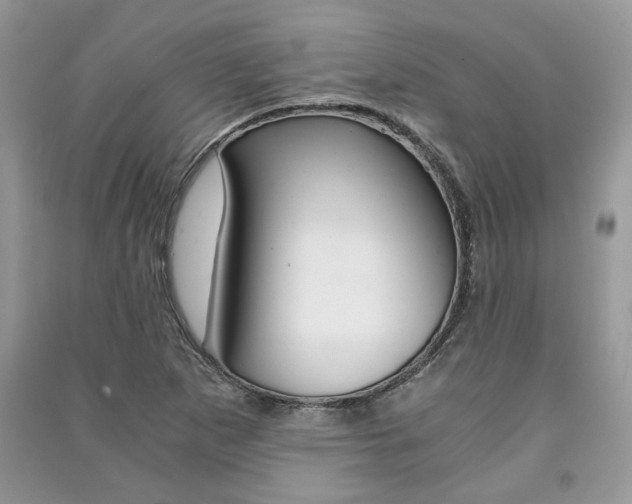 X0000091181265200708091039