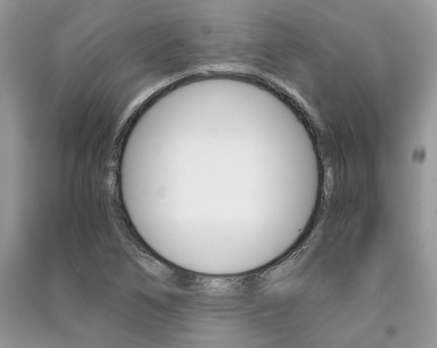 X0000091181266200708091039