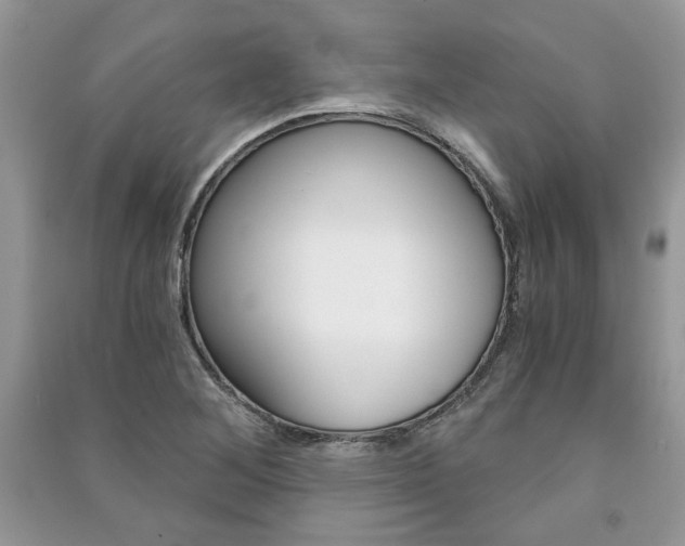 X0000091181268200708091039