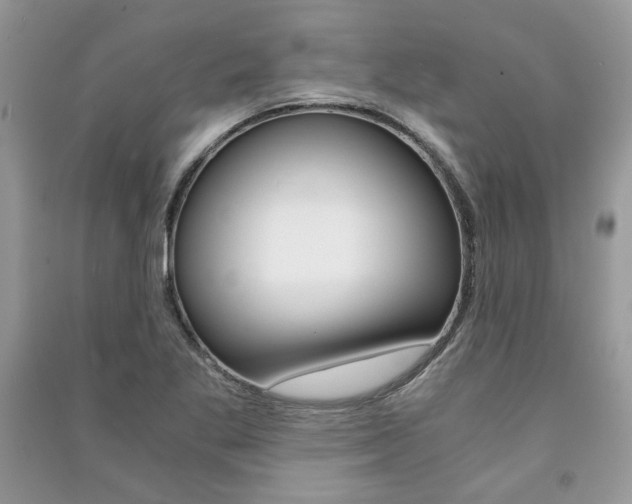 X0000091181269200708091039