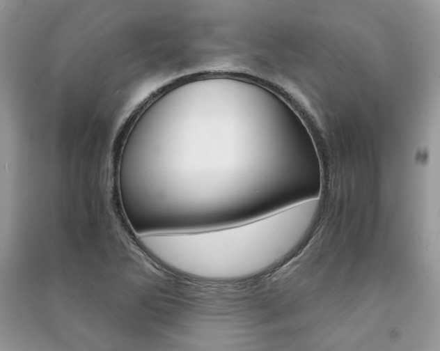 X0000091181270200708091038