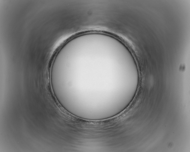 X0000091181271200708091038