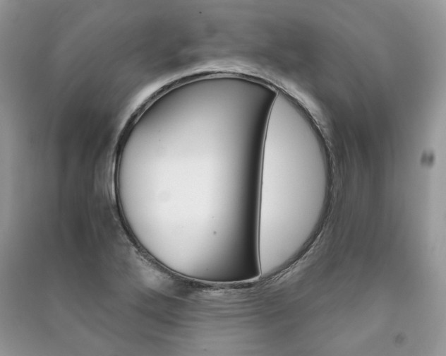 X0000091181272200708091038