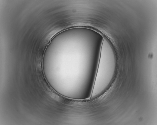 X0000091181273200708091038