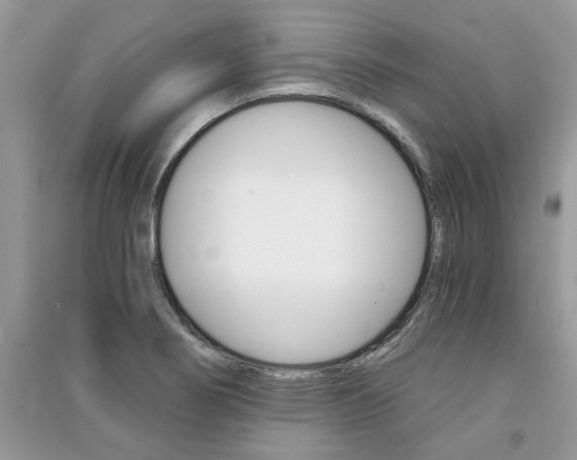 X0000091181274200708091038