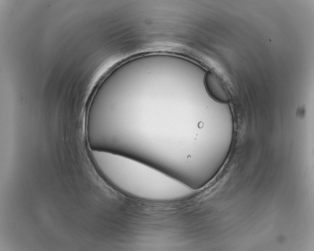 X0000091181275200708091038