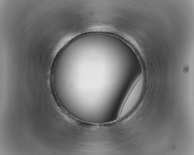 X0000091181277200708091038