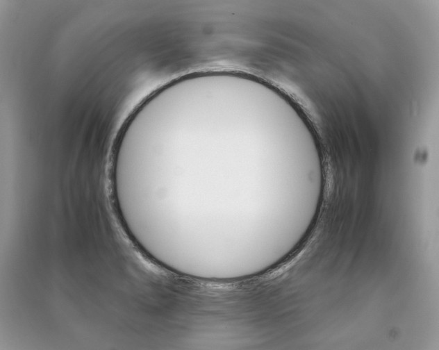 X0000091181278200708091038
