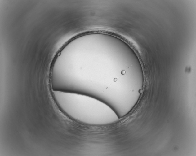 X0000091181279200708091038