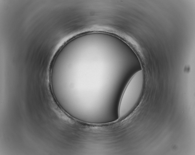 X0000091181280200708091038