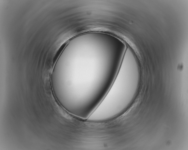 X0000091181281200708091038