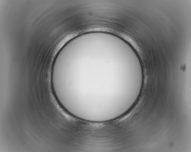 X0000091181282200708091038