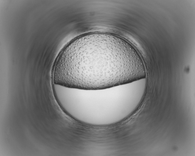 X0000091181283200708091038