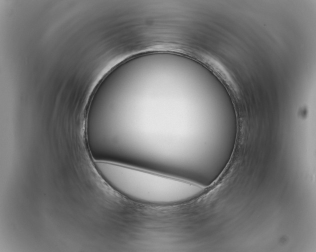 X0000091181284200708091038