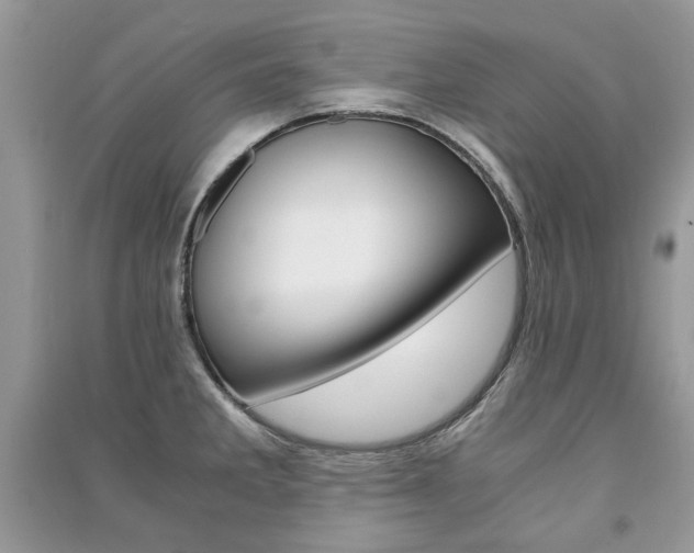 X0000091181285200708091038