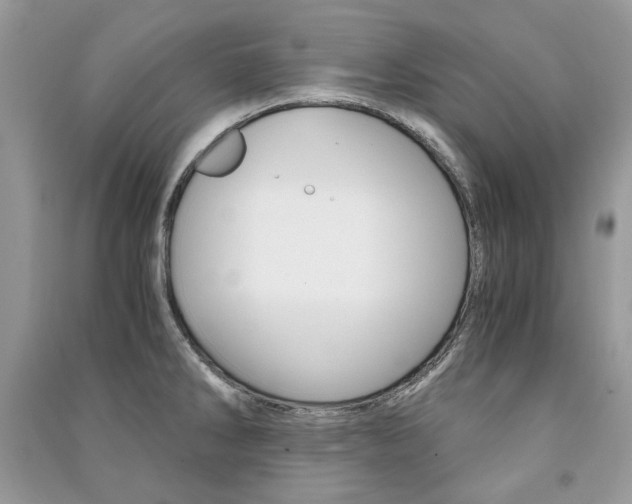 X0000091181286200708091038