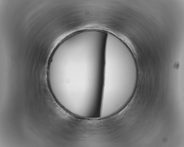 X0000091181288200708091038
