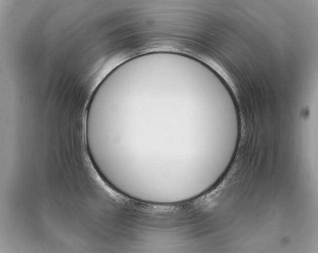 X0000091181290200708091038