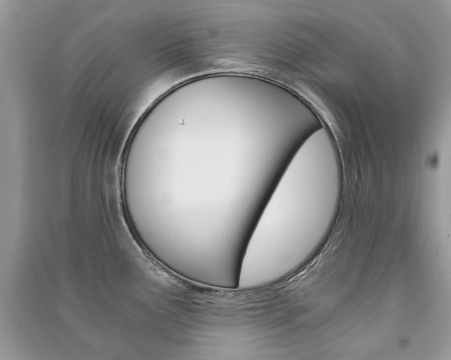 X0000091181291200708091038