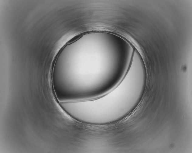 X0000091181293200708091038