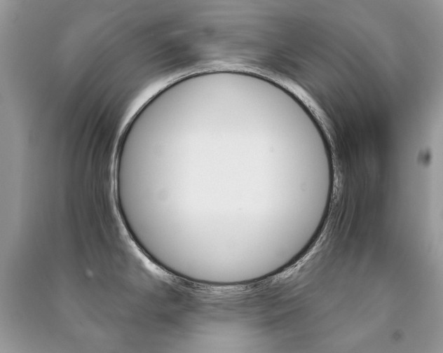 X0000091181294200708091038