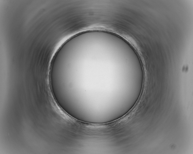 X0000091181296200708091038