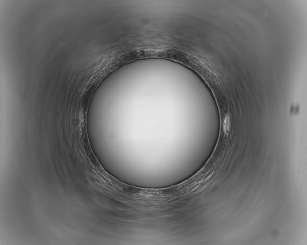 X0000091181299200708091037