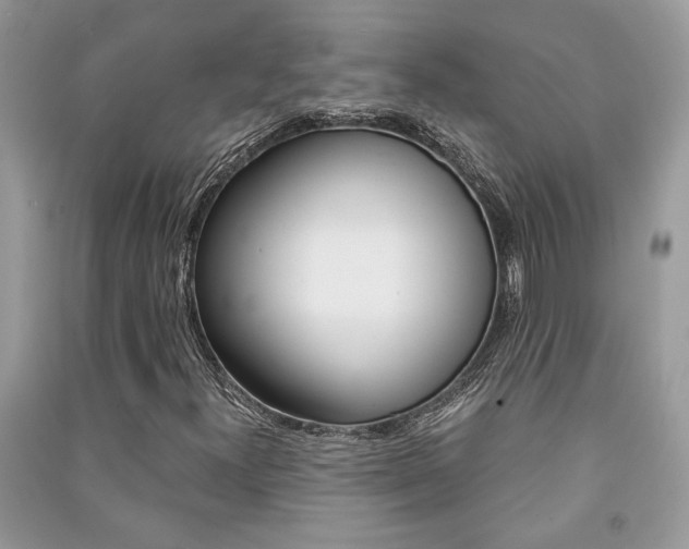 X0000091181300200708091037