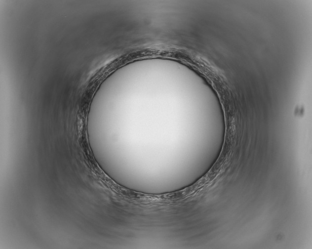 X0000091181302200708091037
