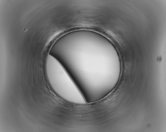 X0000091181307200708091037