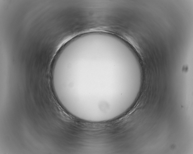 X0000091181308200708091037