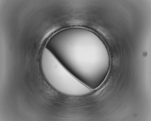 X0000091181309200708091037
