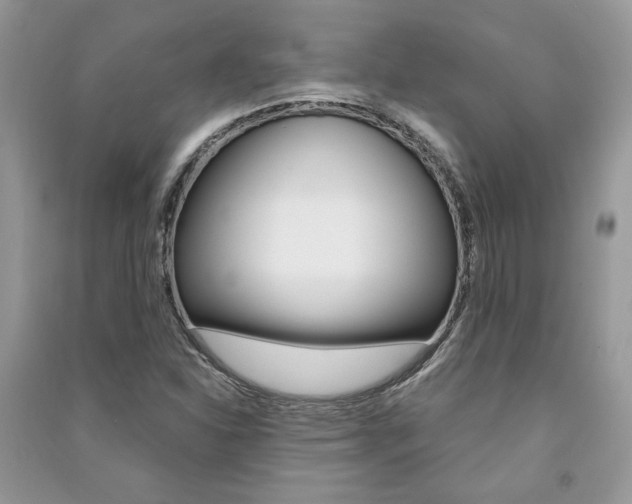 X0000091181310200708091037