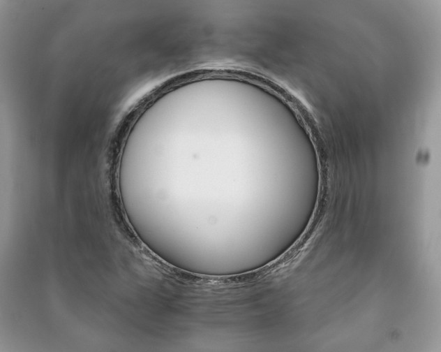 X0000091181311200708091037