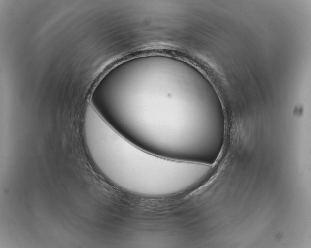 X0000091181313200708091037