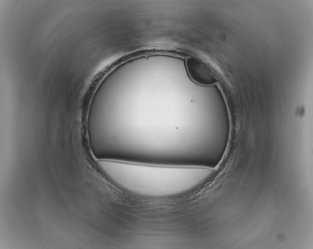 X0000091181315200708091037